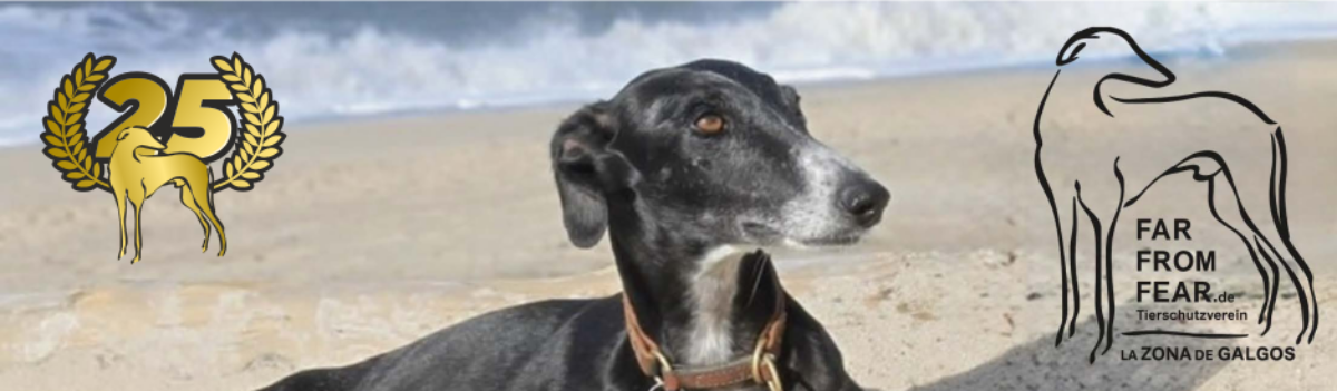 Tierschutzverein Far from Fear e.V.